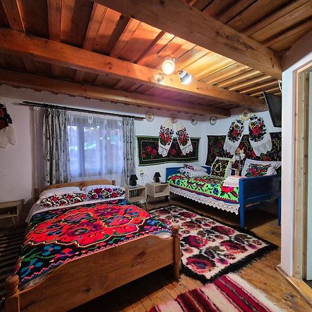 Ocna Şugatag La Rodica In Vale 게스트하우스 외부 사진