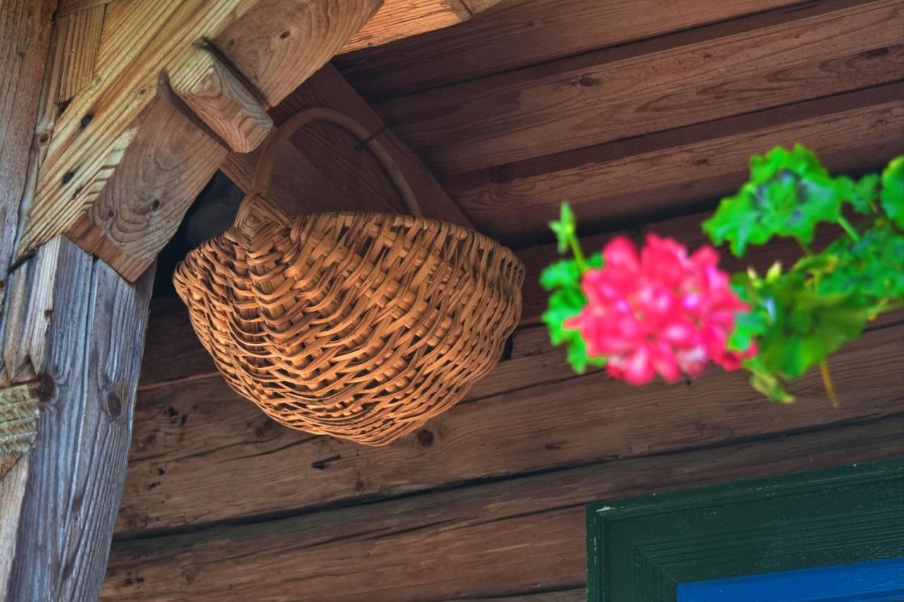 Ocna Şugatag La Rodica In Vale 게스트하우스 외부 사진
